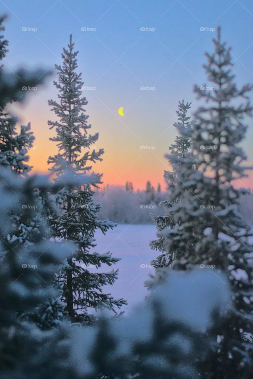Early morning red-yellow sunrise, silence, freshness, frost, winter, north. Aurora borealis night.
