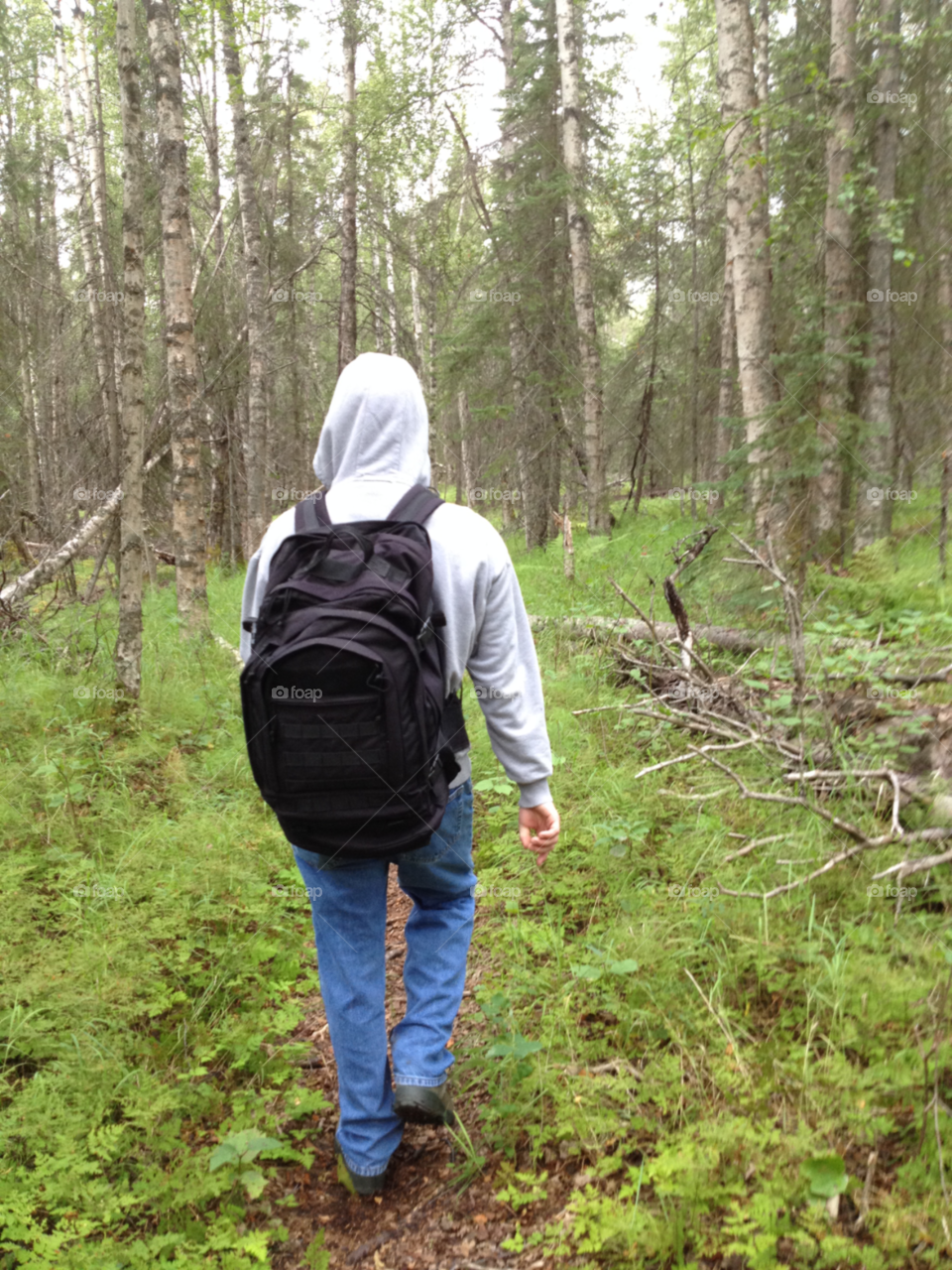 For the Trees. Young man hiking with backpack in a forest, Anchorage, AK.