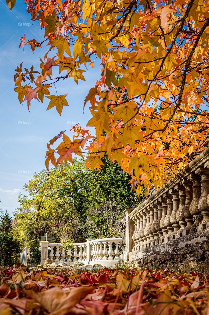 colors of automne in France