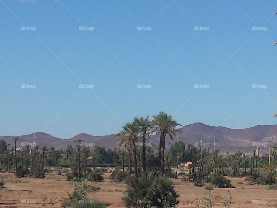 Desert land