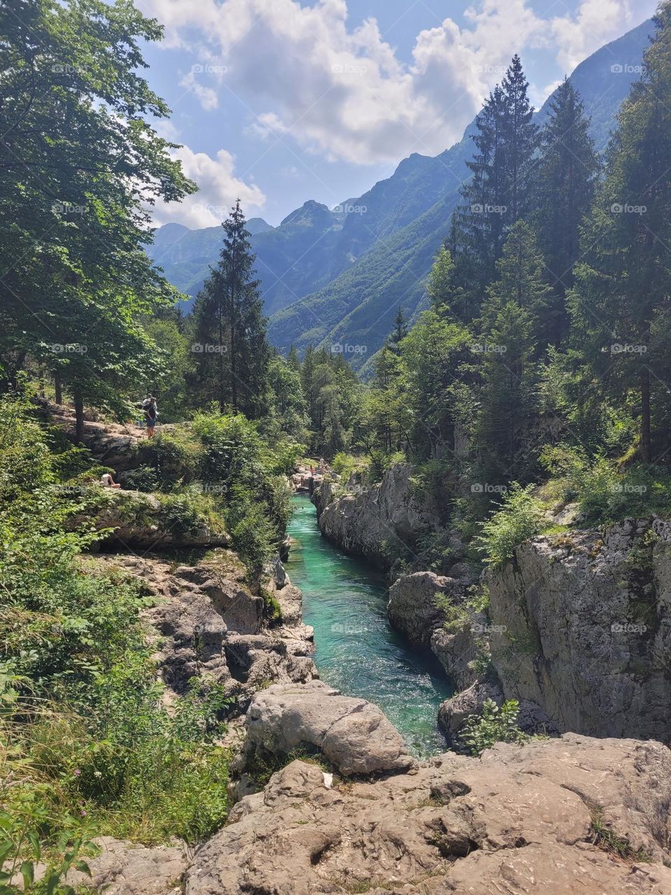 Emerald river flowing across rocks, dark pine trees and high mountains. Slovenia is a hidden gem. The Julian Alps area is a protected national park with lakes, turquoise rivers and forests to hike, swim wherever you want, meditate or climb!