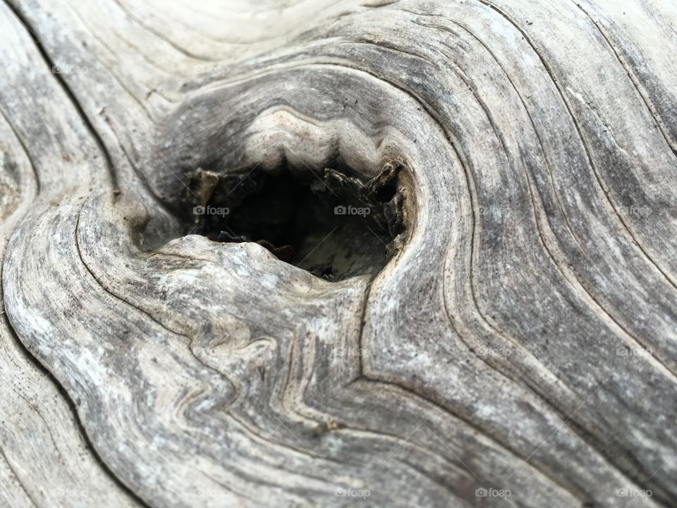 Driftwood