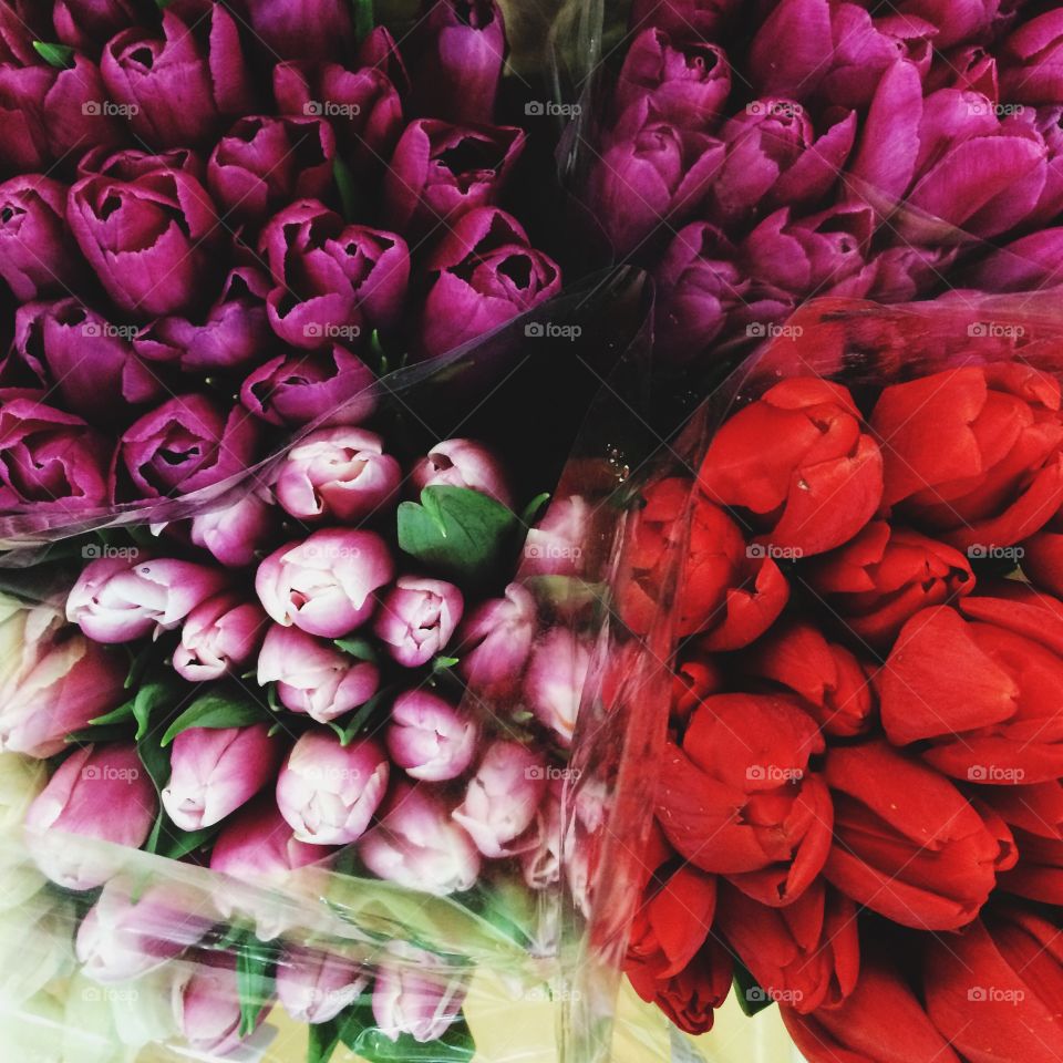 Close-up of bouquets