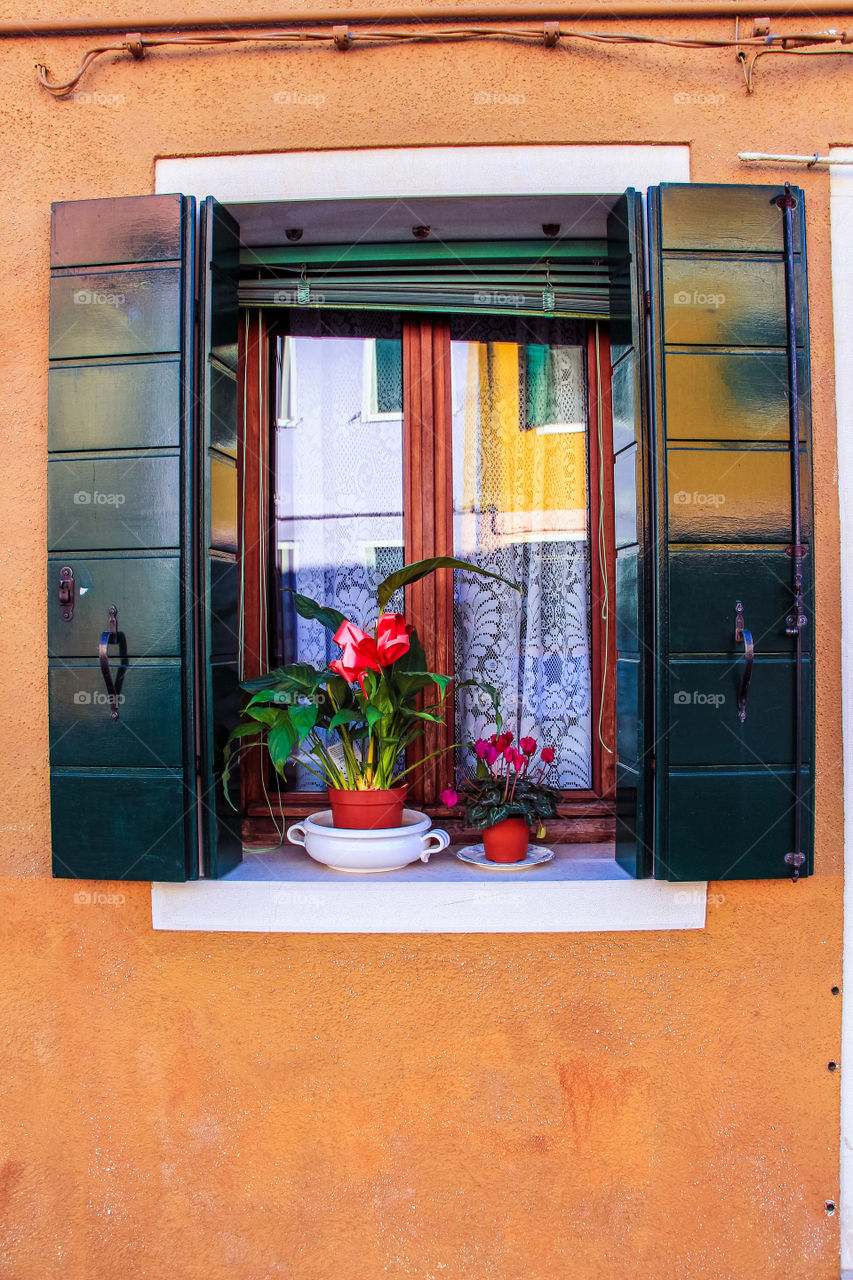 Orange wall and a green window.