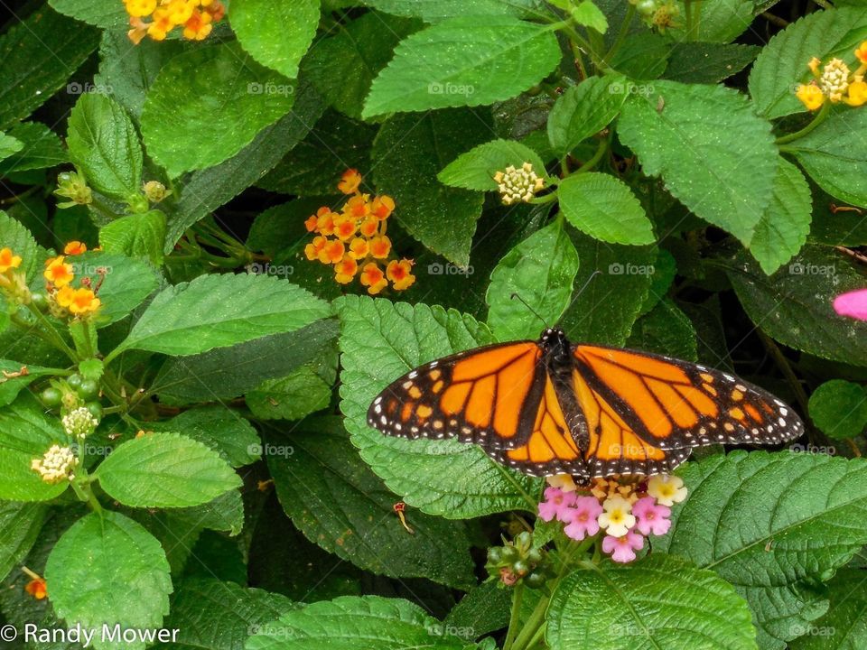 Rodger Williams Park Zoo
Providence RI