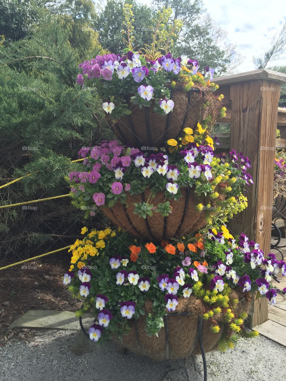 Flower baskets