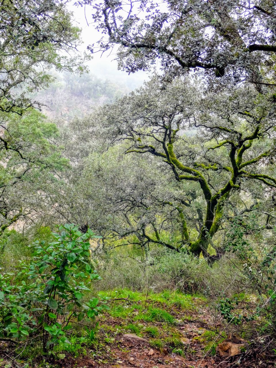 Hiking outside Sevilla, Spain