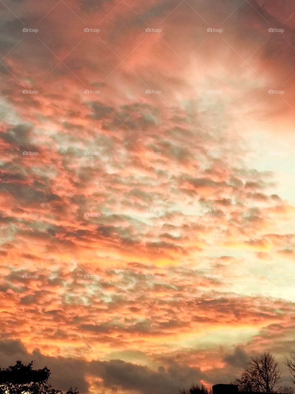 Beautiful orange sunset