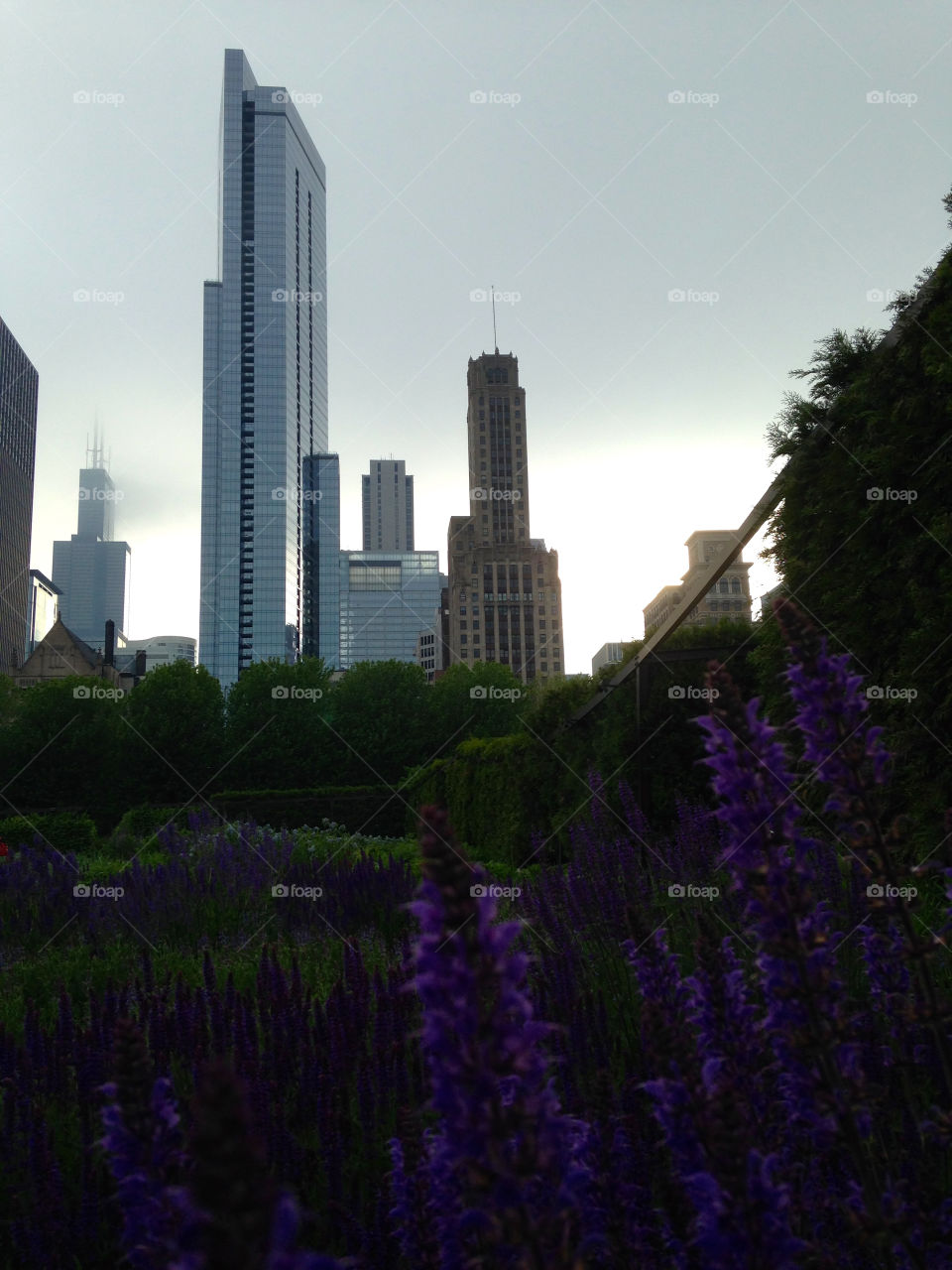 Chicago with flowers