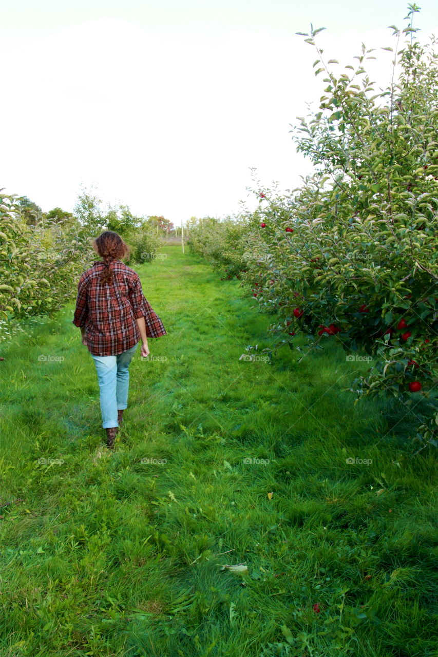 Walking through the orchard