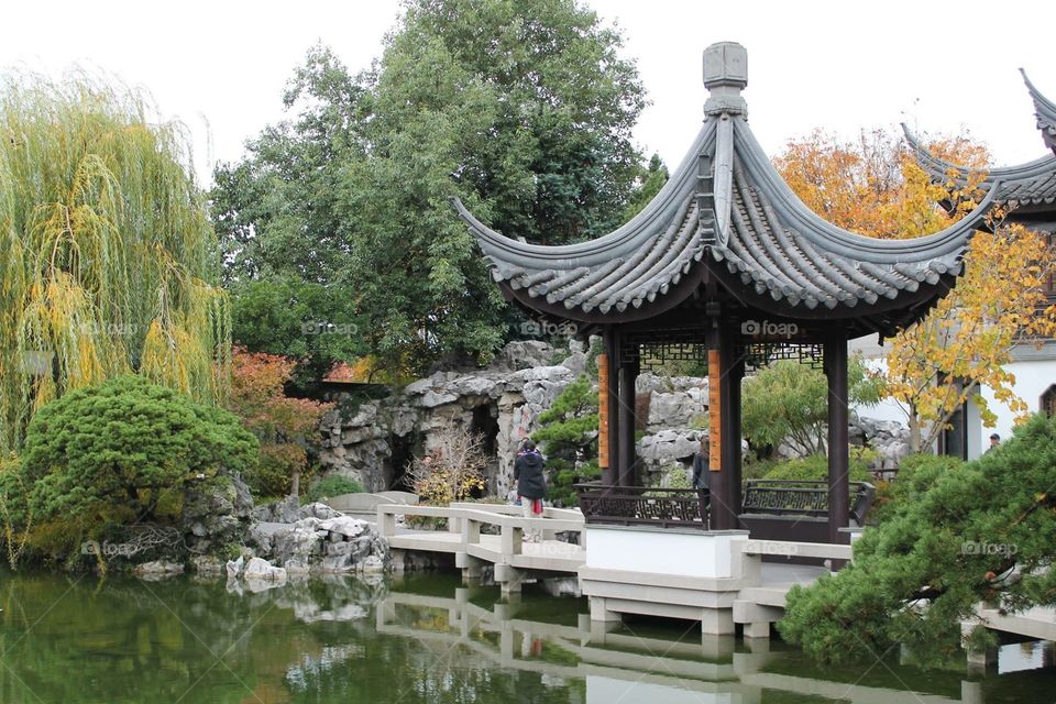 Chinese garden 