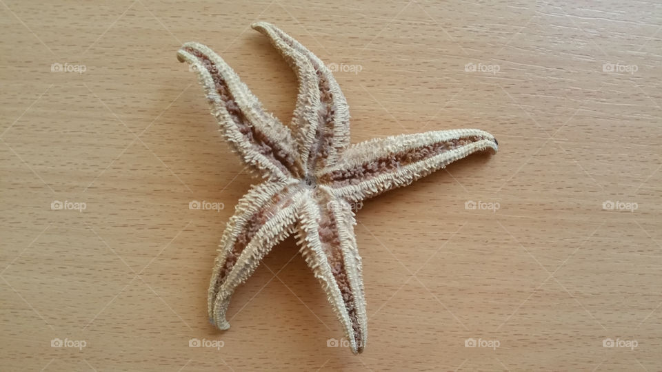 Starfish