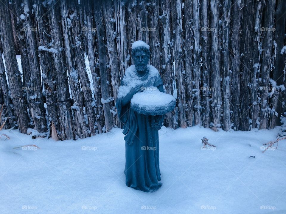 Sculpture in Snow