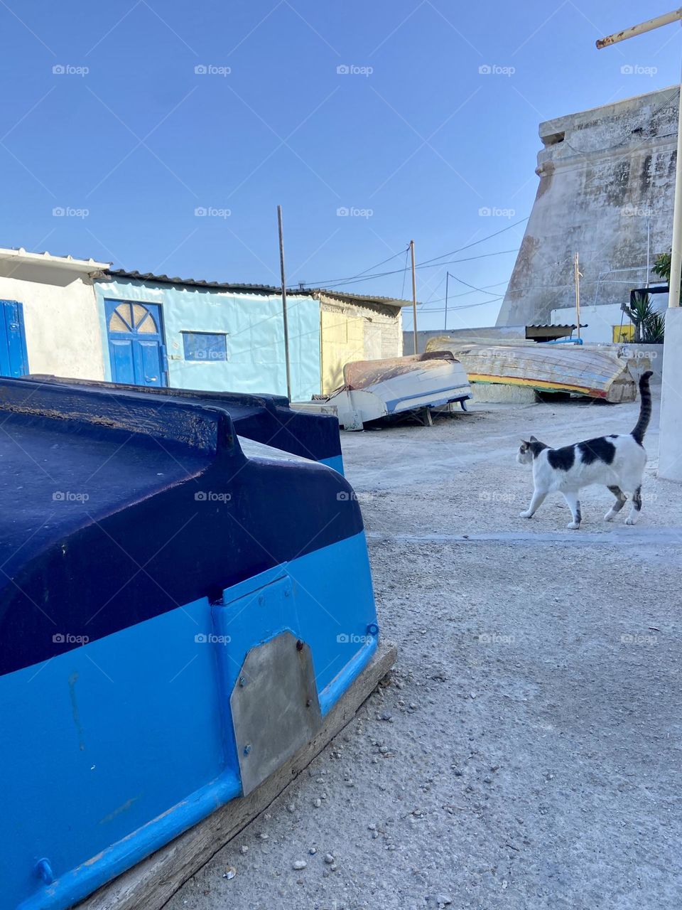 Boats on the side by buildings