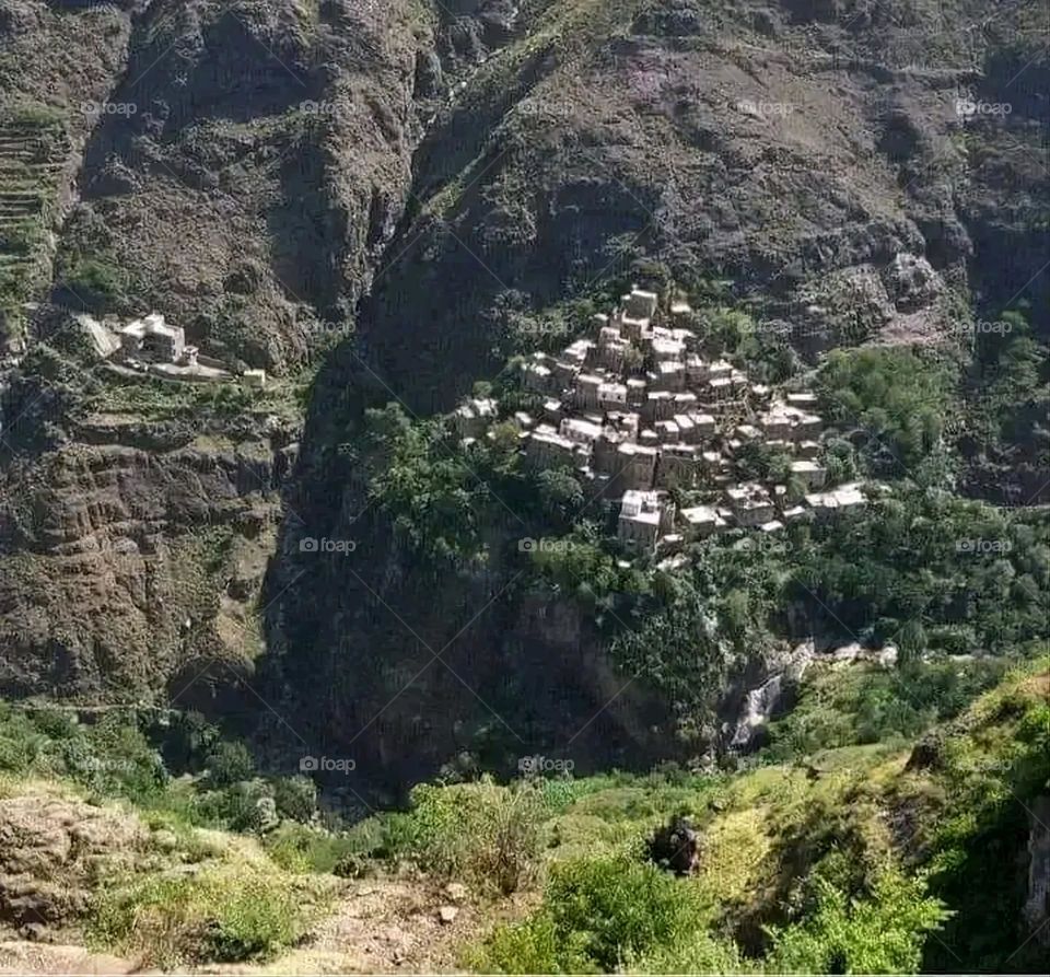 A very beautiful picture, and there is no better picture than it. There is no better picture of green herbs and colorful, red and white roses than it. Glory be to God, the natural and picturesque view, and there is no more