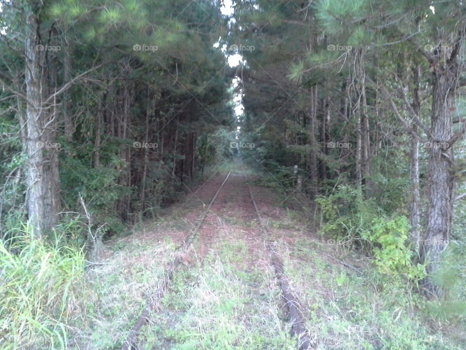 Train left its tracks