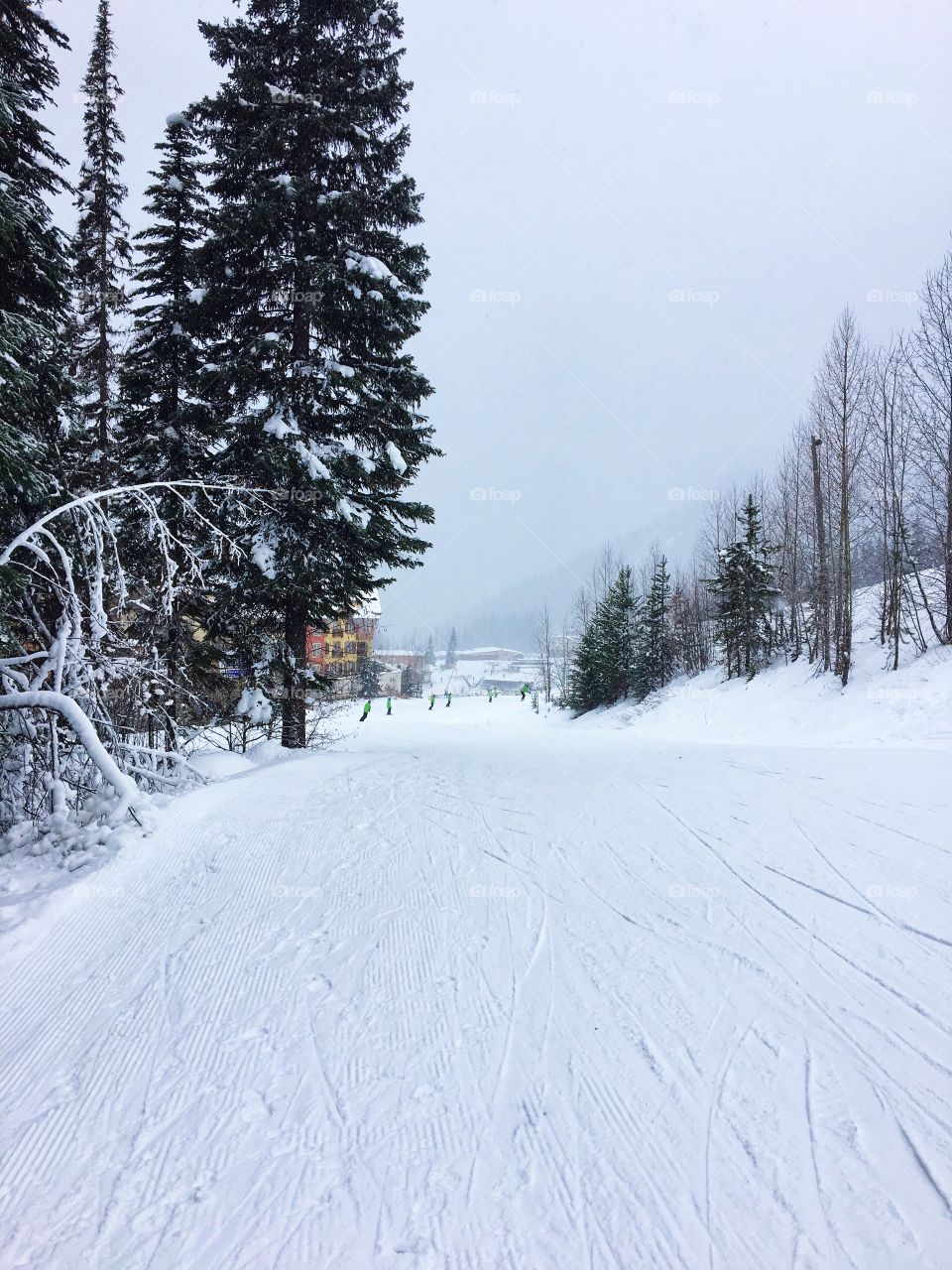 Beautiful winter day!