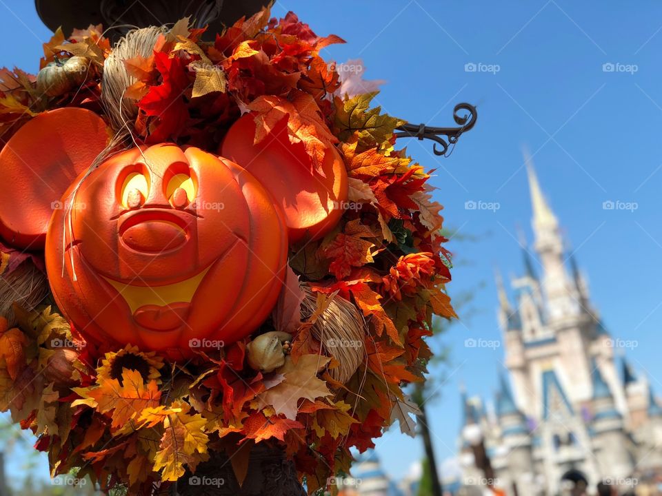 Celebrating fall at Disney world! 