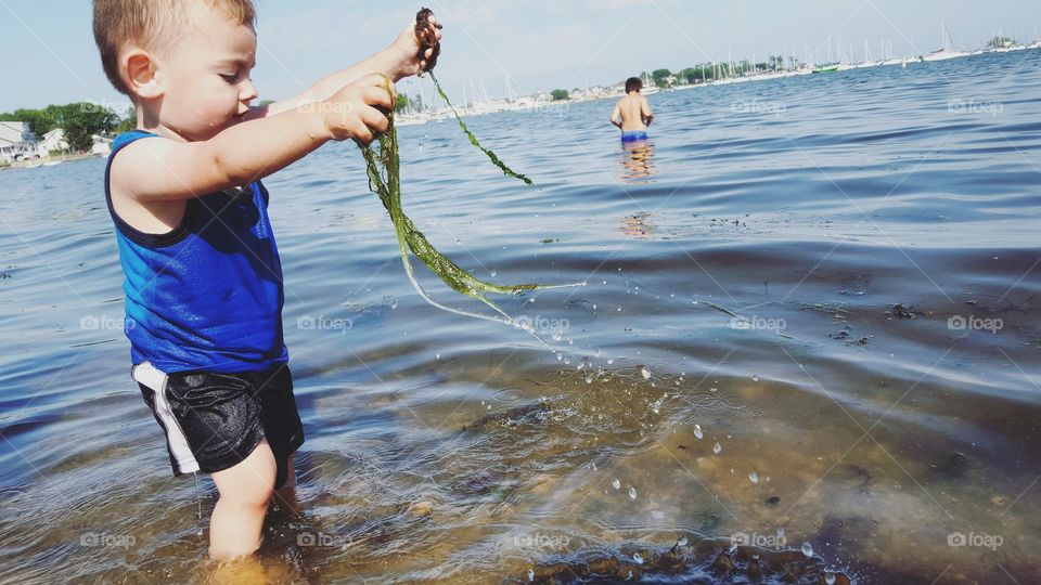 Cute boy holding seaweed in sea