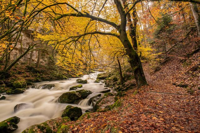 A river in switzerland in the fall with beautiful colors