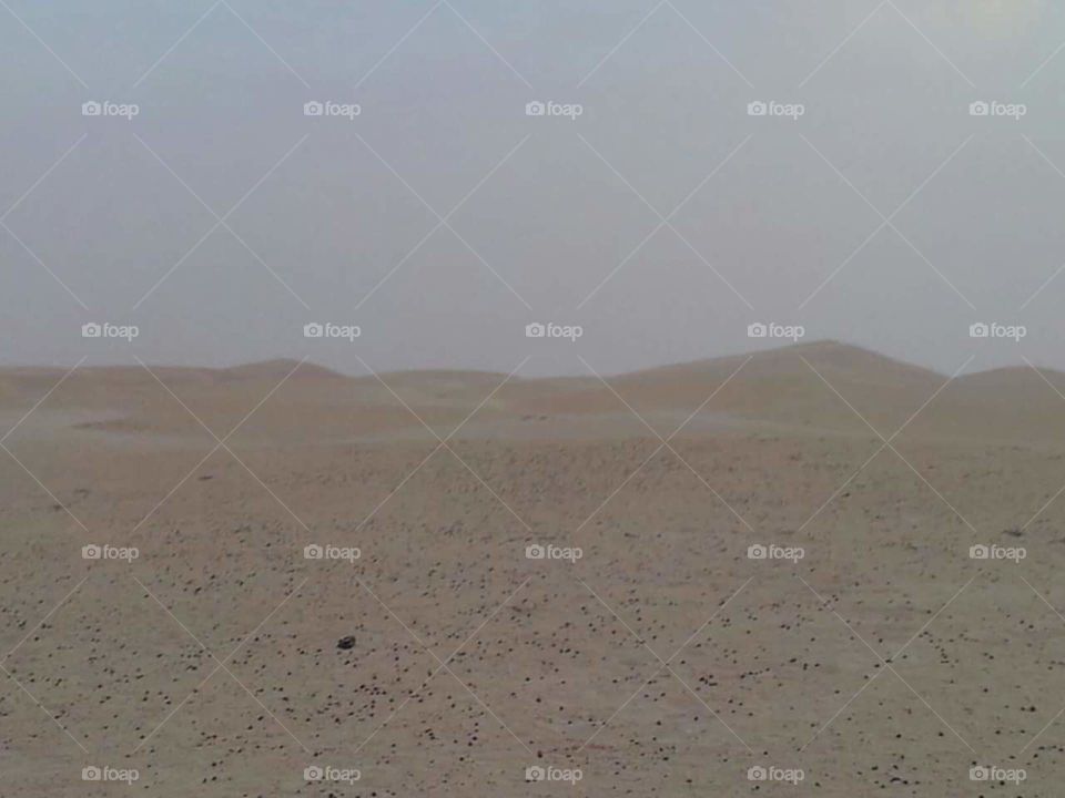 Desert, Landscape, Fog, Sand, Wasteland