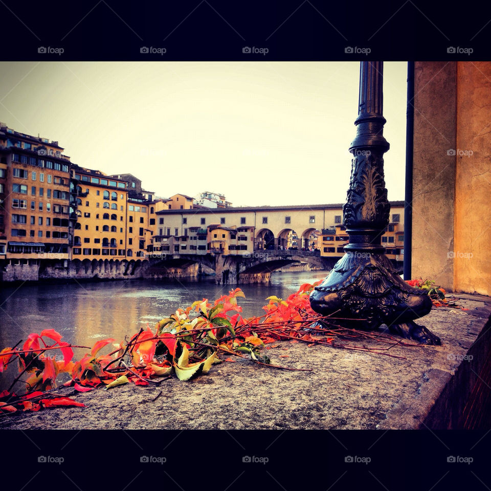 italy river holiday leafs by Najobo