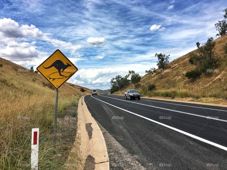 Traveling Around Australia. Watch out for Kangaroos. 