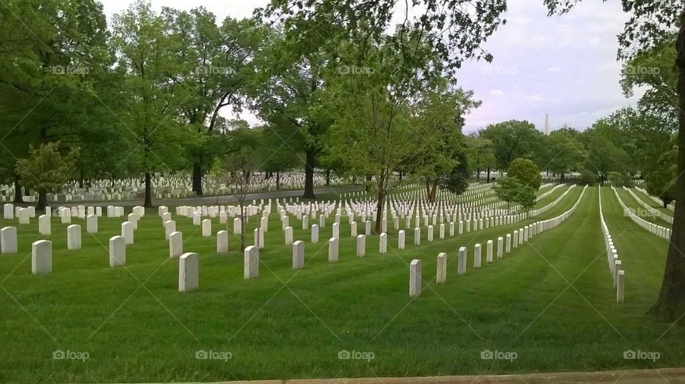 Arlington Nation Cemetery. One of many views of the scenic resting place of our nations soldiers.