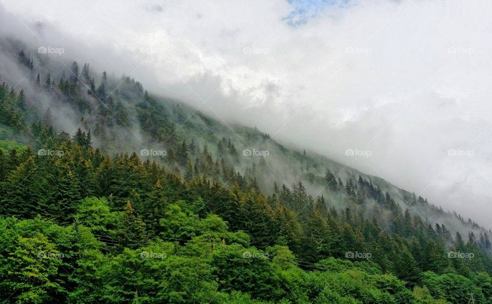 Beautiful mountain cover with trees and clouds
Juneau - Alaska