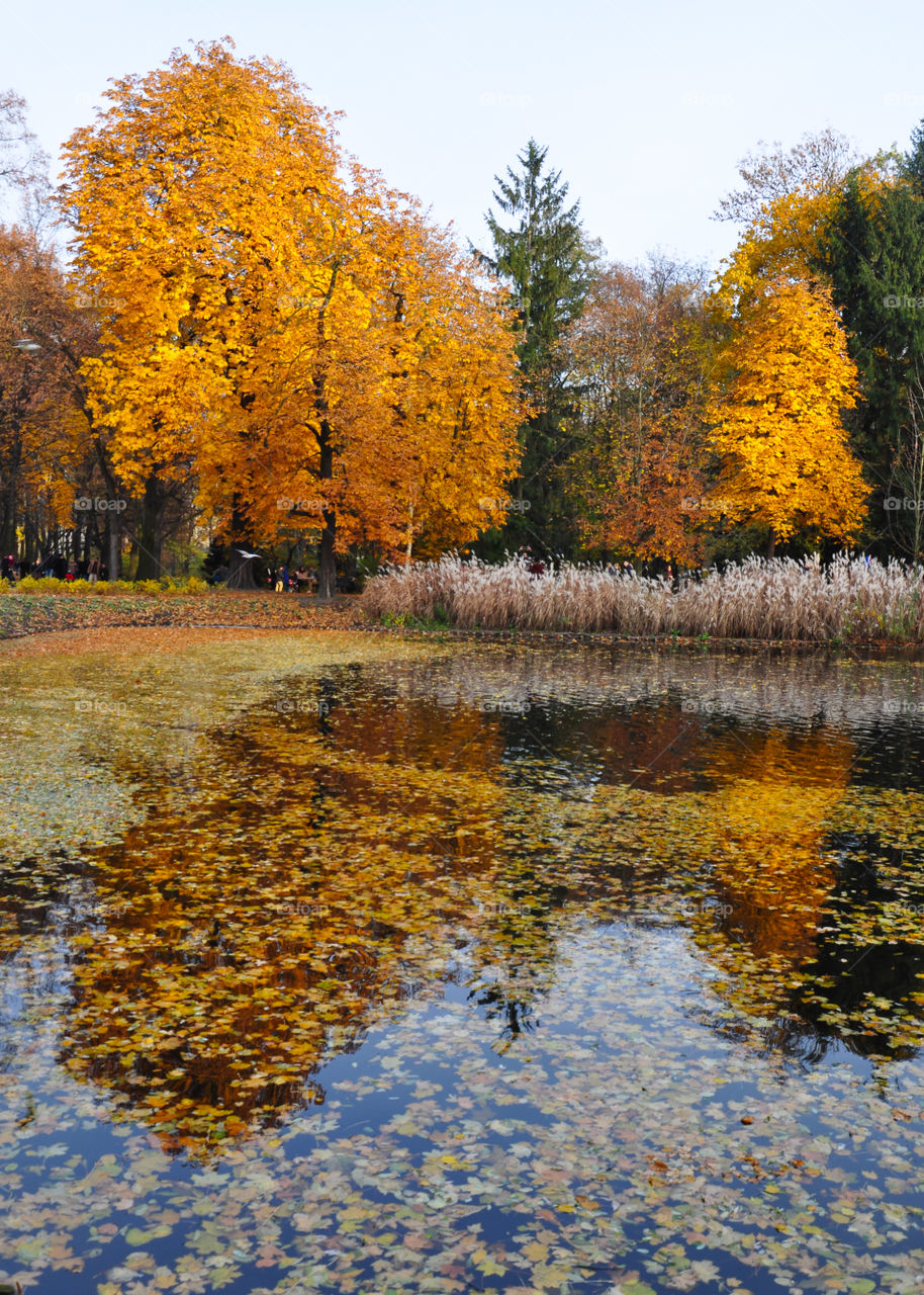 Warsaw park in Poland