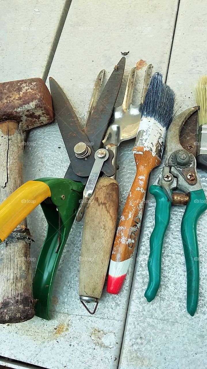 Garden Hand Tools - Colour