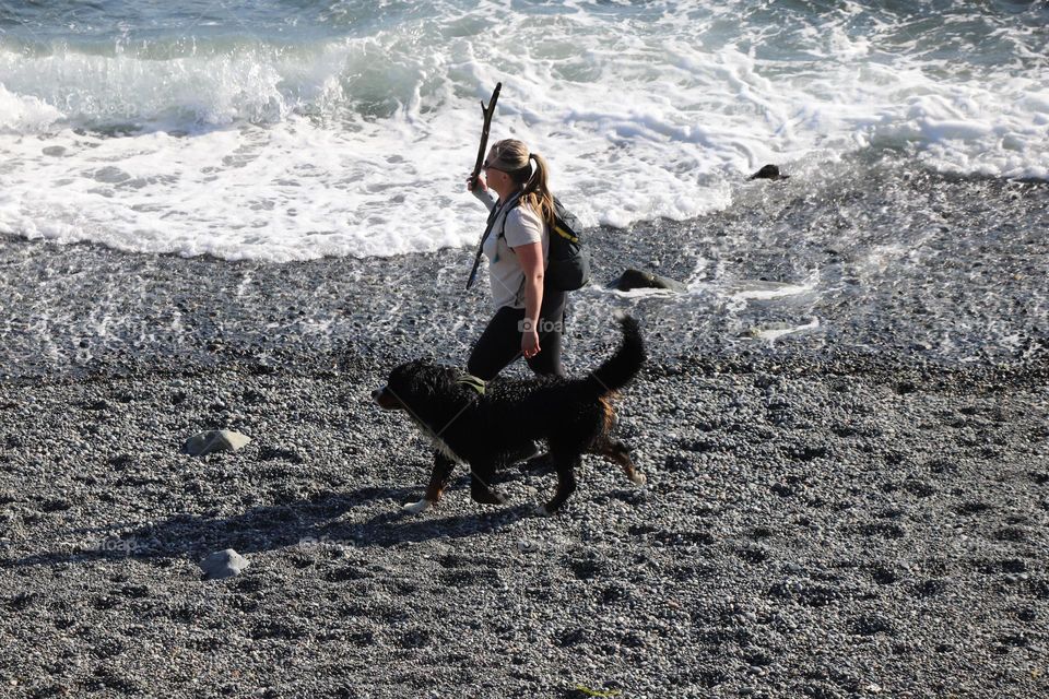 Woman and a dog on the beach 