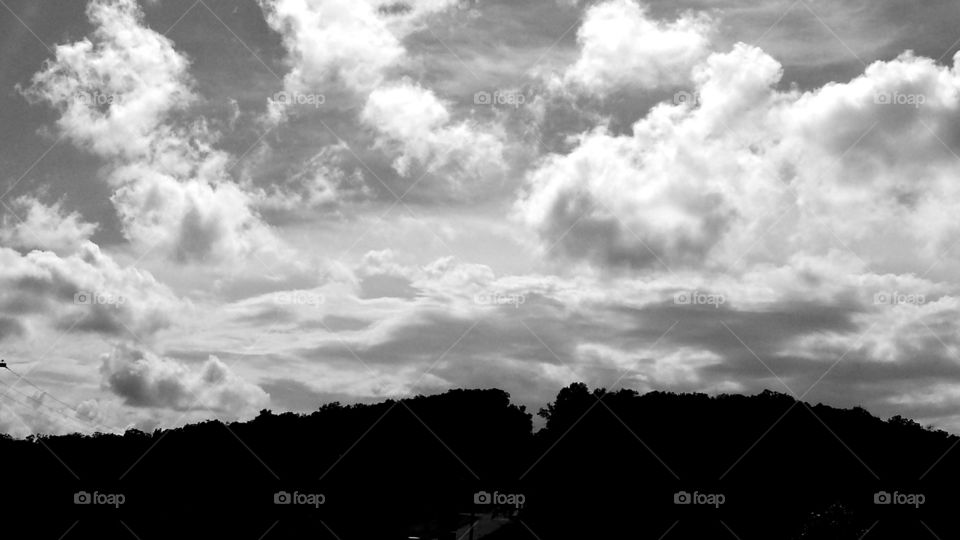 Blue Sky. White puffy clouds