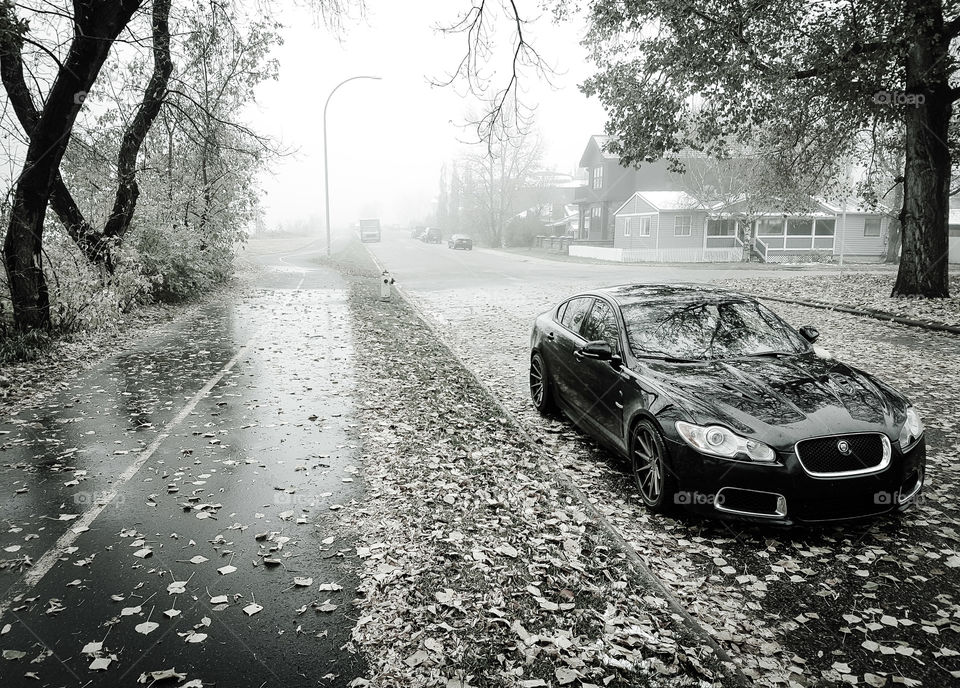 Jaguar xfr in a fall fog
