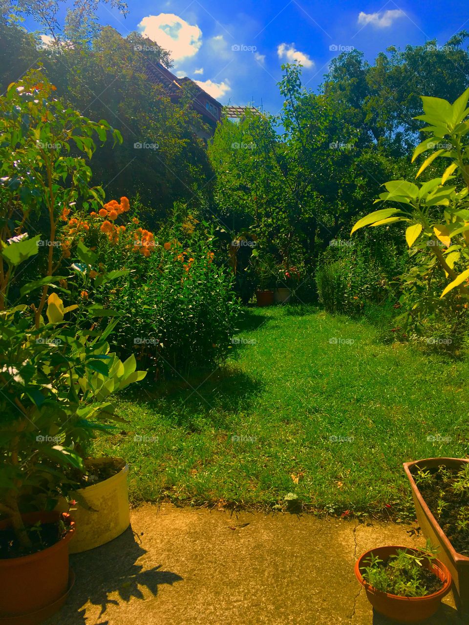 Garden in Prague🇨🇿