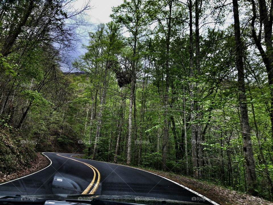 Tail of the Dragon. A road that goes between Nc and Tn with 318 turns in 11 miles.