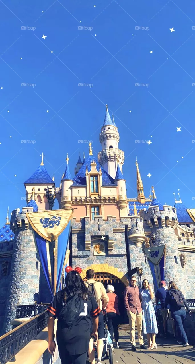 Disney castle 