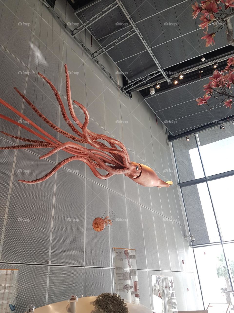 This is to remind me of my first time eating squid..