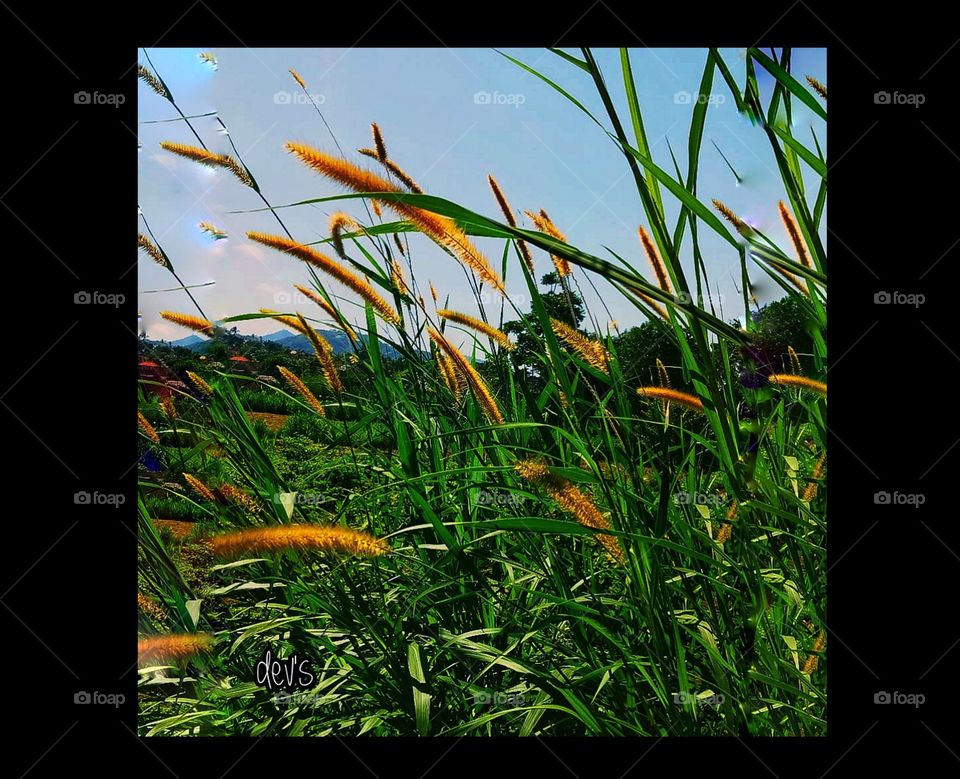 The earth will always meet the needs of all humans, but not to meet the greed of one human being 🌾