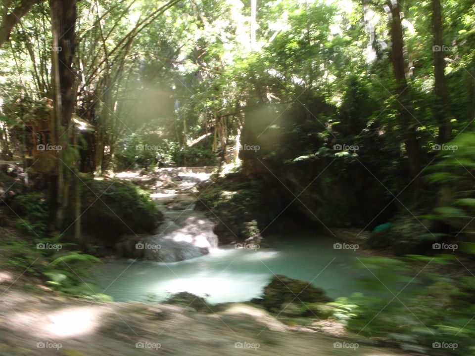 Wood, Water, No Person, Nature, Landscape