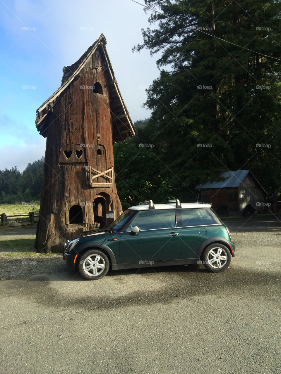 MINI Cooper and Redwood hut