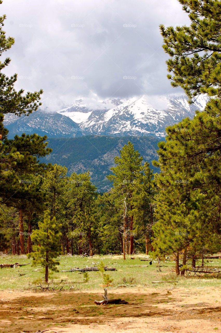 RMNP