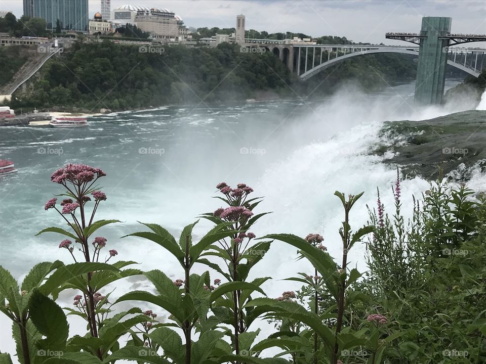 Niagara Falls florals in the Mist 