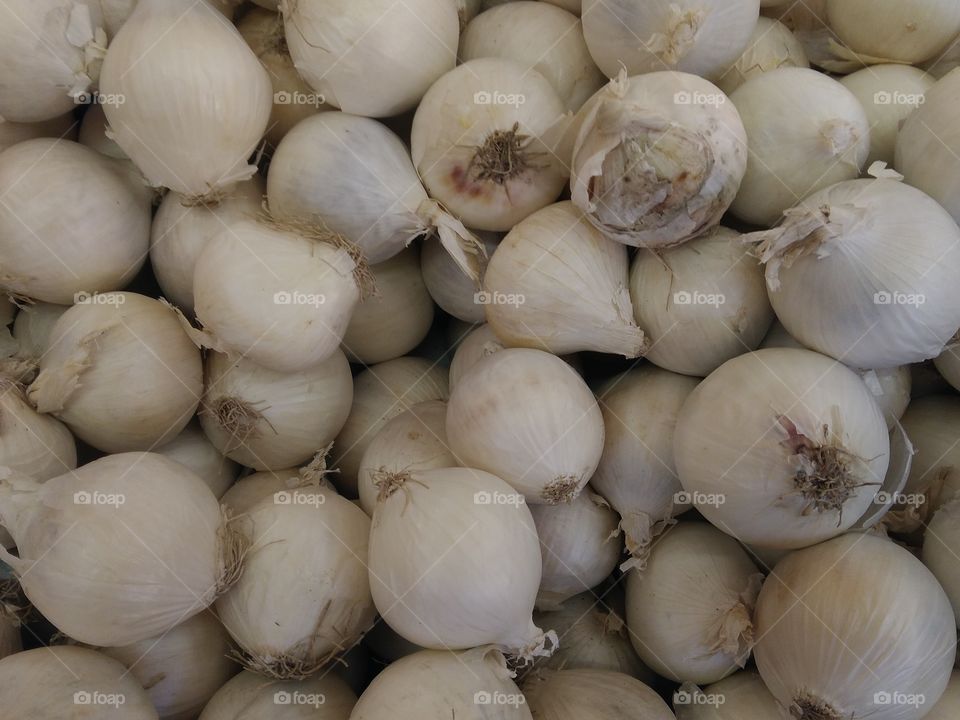 garlic