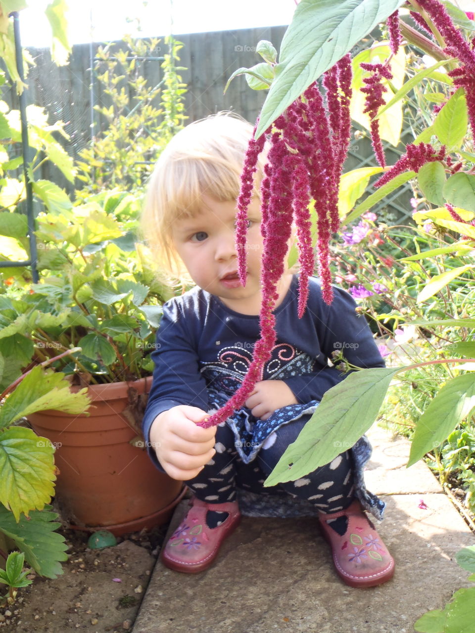 Cute girl looking at pink flower