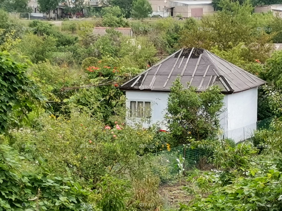 A chic house with a garden