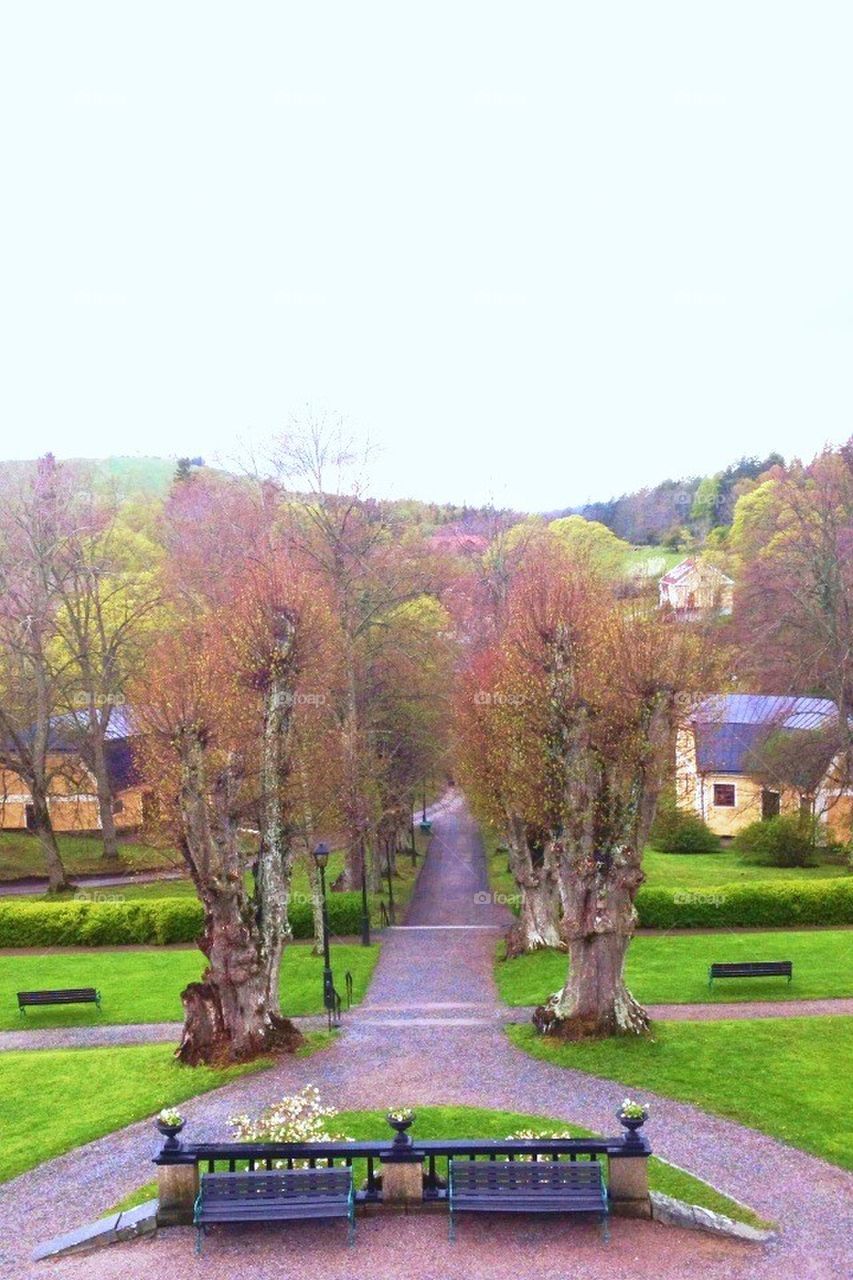 Tree walk Görväln castle