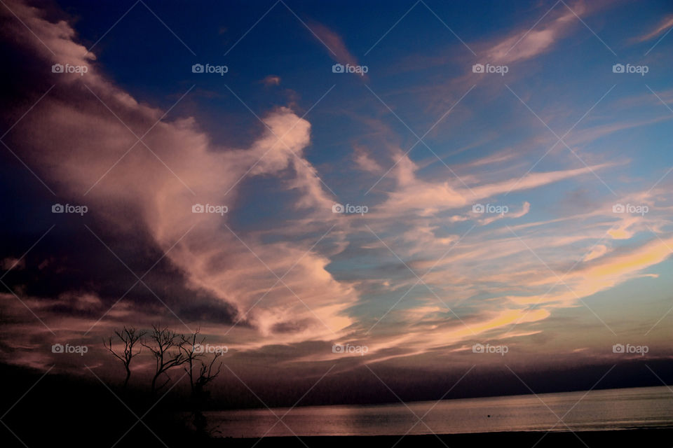 Nature is amazing. Oniric enchantment. The immensity of the sky, with clouds passing by, the sea, three bare trees.