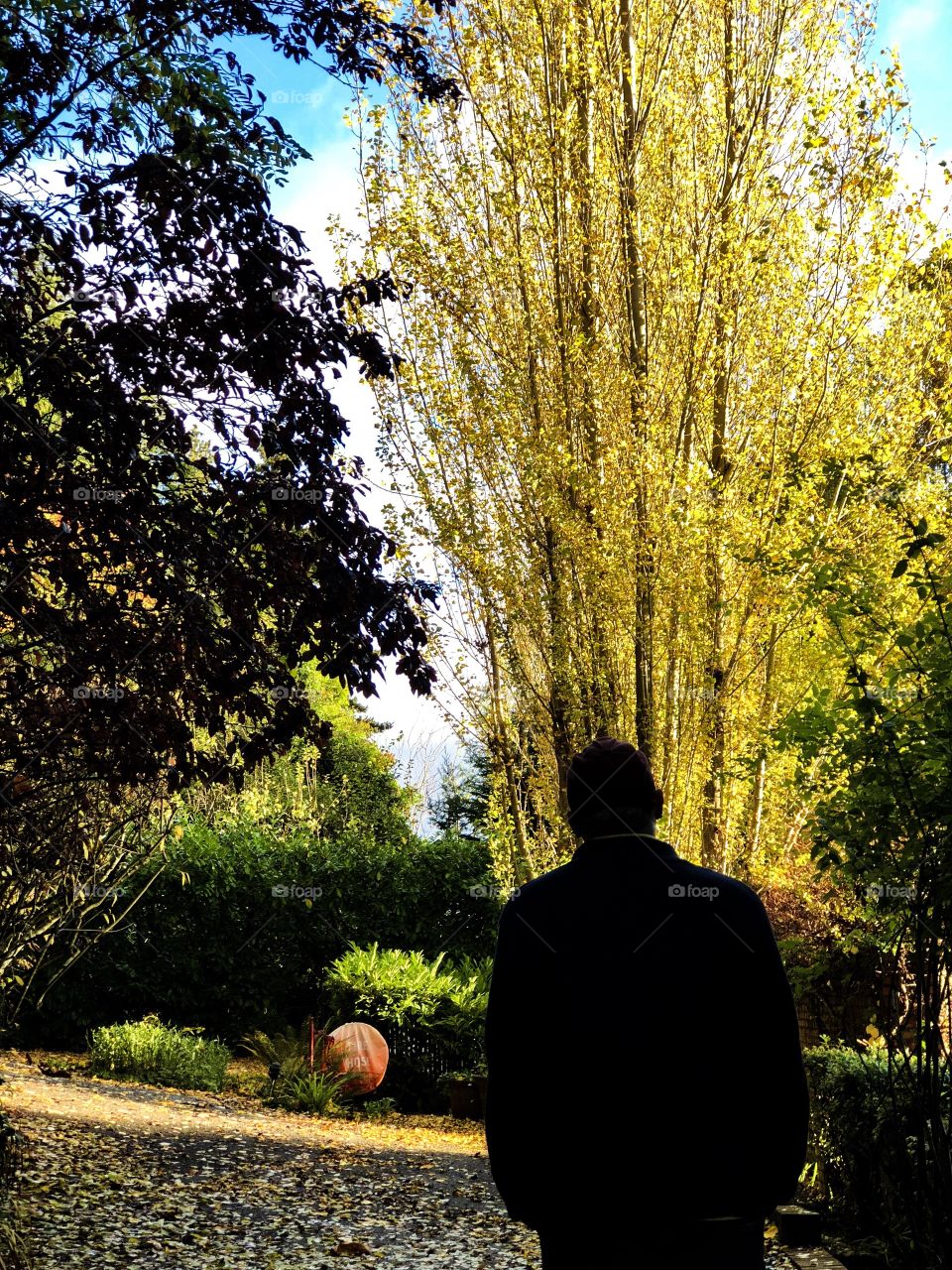 First Signs Of Autumn Foap Mission! Silhouette Of A Man Admiring The Turning Leaves Of Autumn!