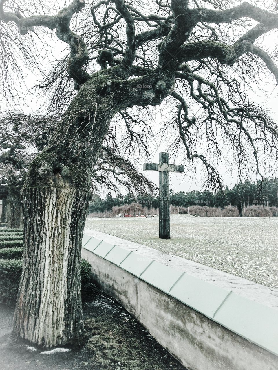 skogskyrkogården stockholm